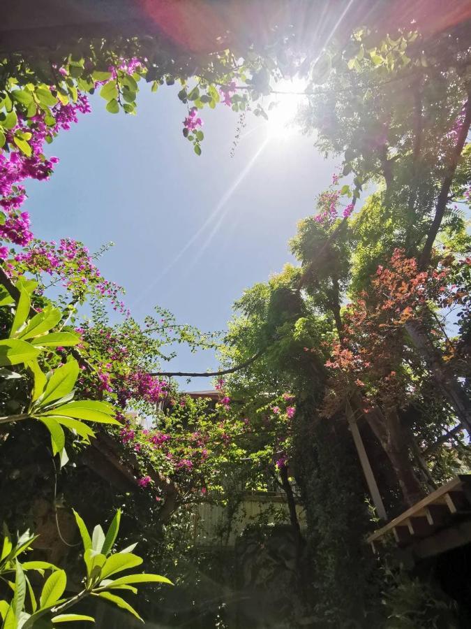 Dear B&B Ταϊνάν Εξωτερικό φωτογραφία