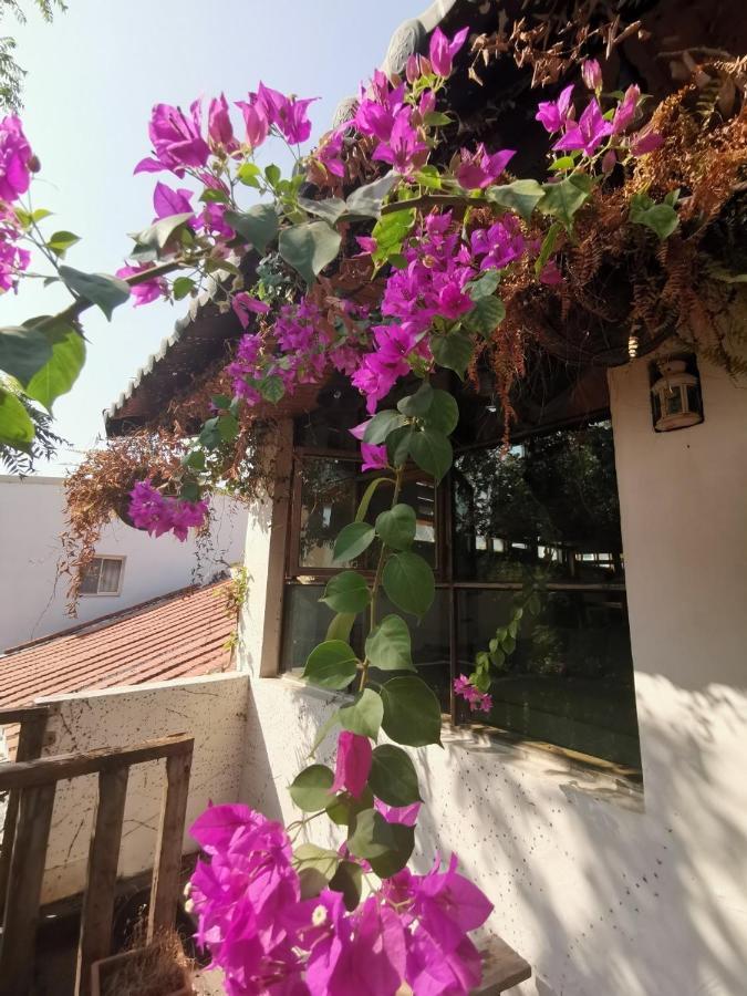 Dear B&B Ταϊνάν Εξωτερικό φωτογραφία